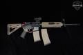 Palmetto State Armory (PSA) PA-15 5.56mm NATO Two-Tone in Very Good Condition Image 2