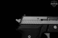 Sig Sauer P229 Stainless .40 S&W Two-Tone in Excellent Condition Image 3