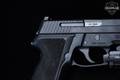 Sig Sauer P229 W/ Light .40 S&W Black in Very Good Condition Image 4