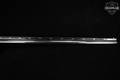 Browning Auto-5 Twenty 20 Gauge Blued in Good Condition Image 4
