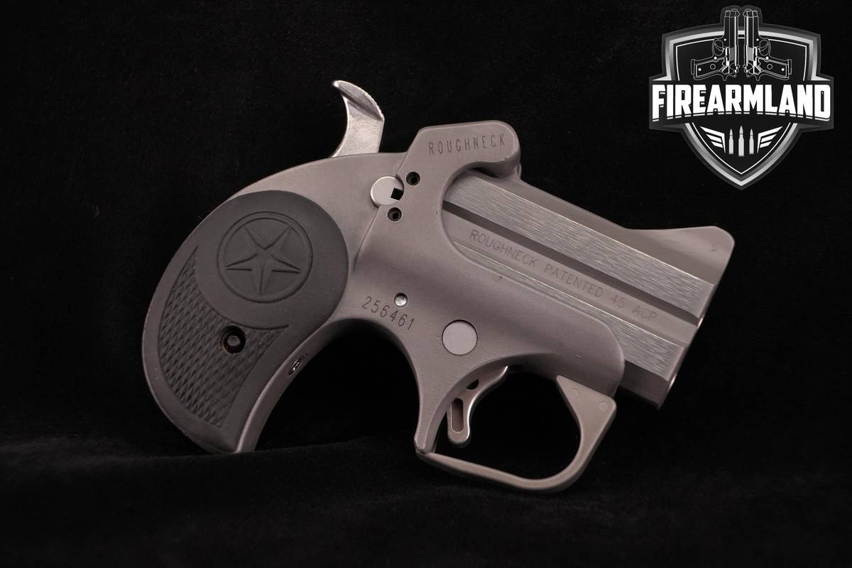Bond Arms Roughneck 45 ACP 2.5" Stainless