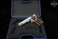 2016 Colt Delta Elite 10mm Stainless Steel in Very Good Condition Image 2
