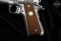 2016 Colt Delta Elite 10mm Stainless Steel in Very Good Condition Image 3