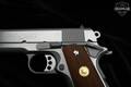 2016 Colt Delta Elite 10mm Stainless Steel in Very Good Condition Image 4