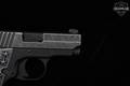 2017 Sig Sauer P238 We The People .380 ACP Two-Tone in Very Good Condition Image 4