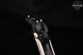 Kimber Micro 9 Texas Edition 9mm Luger Two-Tone Blued & Black in Excellent Condition Image 5