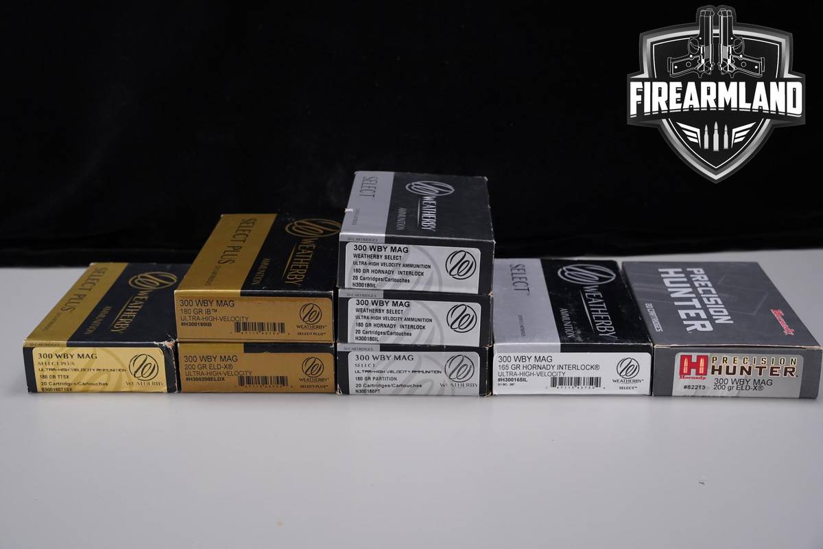 160 RDS! 300 Wby Magnum Ammo 300 Wby Mag