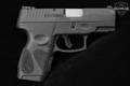 Taurus G2S .40 S&W Black in Very Good Condition Image 3