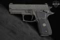 Sig Sauer P229 Legion SAO 9mm Luger Legion Gray in Very Good Condition Image 3