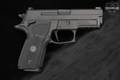 Sig Sauer P229 Legion SAO 9mm Luger Legion Gray in Very Good Condition Image 4