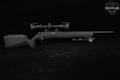 Springfield Armory Model 2020 Rimfire Target .22 LR Black in Excellent Condition Image 3