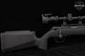 Springfield Armory Model 2020 Rimfire Target .22 LR Black in Excellent Condition Image 4