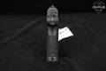 Sig Sauer P320 PRO X-Series Full-Size 9mm Luger Black in Like-New Condition Image 4