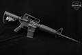 Bushmaster XM15 E2S 5.56mm NATO Black in Very Good Condition Image 3