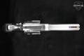 ALFA Proj Model AL 22M.1 .22 WMR Brushed Stainless in Excellent Condition Image 4