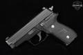 Sig Sauer P229 Delaware State Police .40 S&W Black in Good Condition Image 3