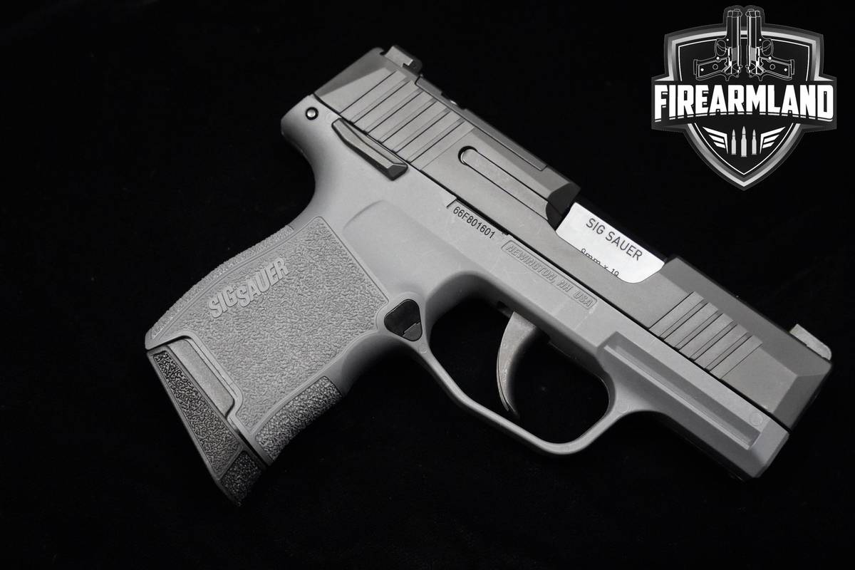 Sig Sauer P356 Gray 9mm 3.1" Nitron Sig-Sauer P356 P-365 2 MAGS & ORIG CASE