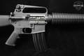 Colt Sporter Target Model 5.56mm NATO (.223 Rem.) Black in Excellent Condition Image 5