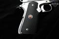 1992 Colt Delta Elite 10mm Polished Stainless in Very Good Condition Image 3