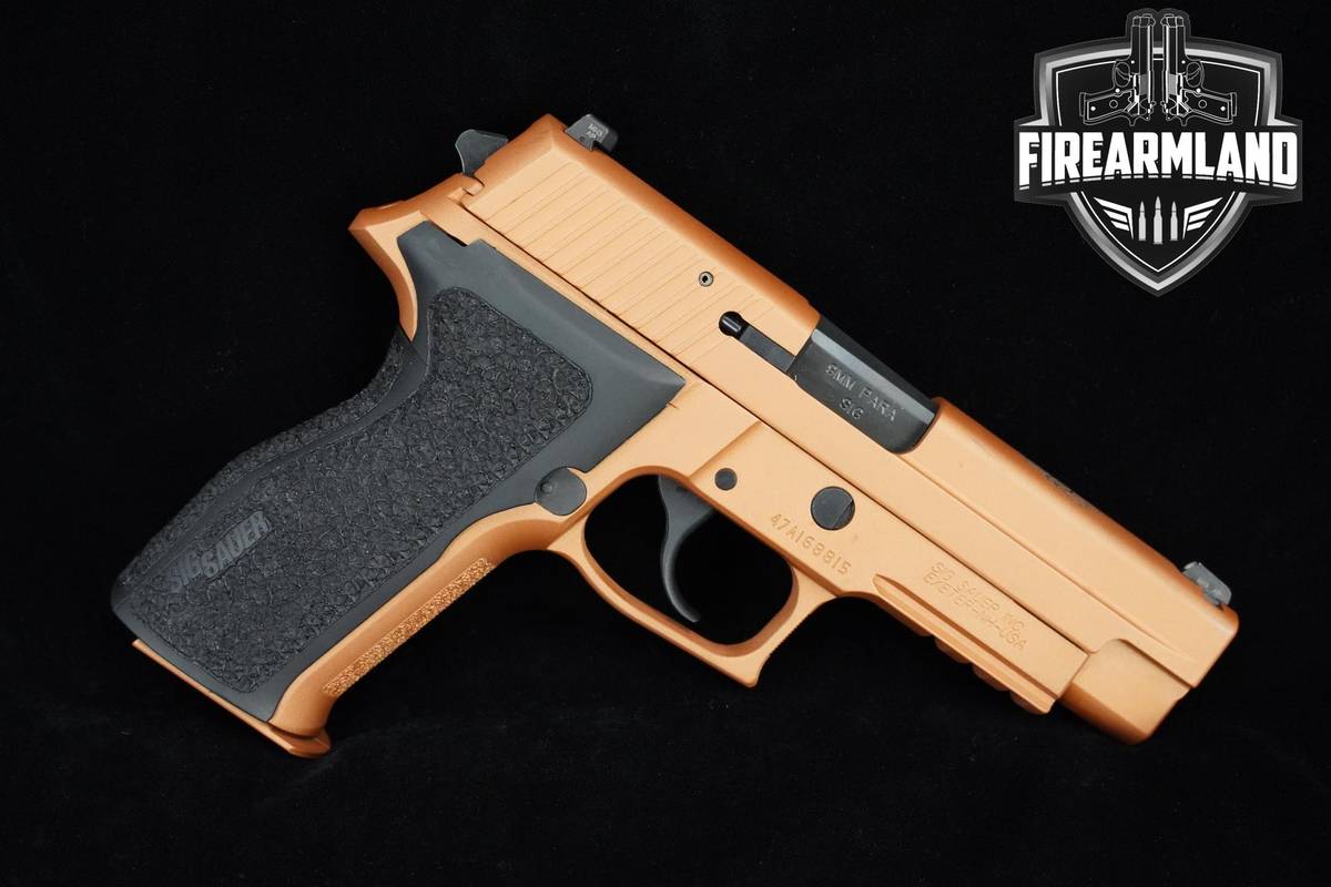 DAY OF THE DEAD Sig Sauer P226 Full Size 9mm Burnt Bronze Cerakote SIG P226