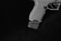 Palmetto State Armory (PSA) Dagger Compact 9mm Luger Gray in Excellent Condition Image 4