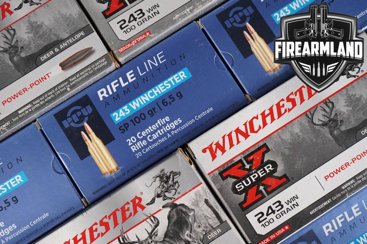 160 RDS! 243 Win Ammo Ammunition