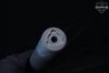 Banish Banish 30 Multi-Caliber in Excellent Condition Image 4