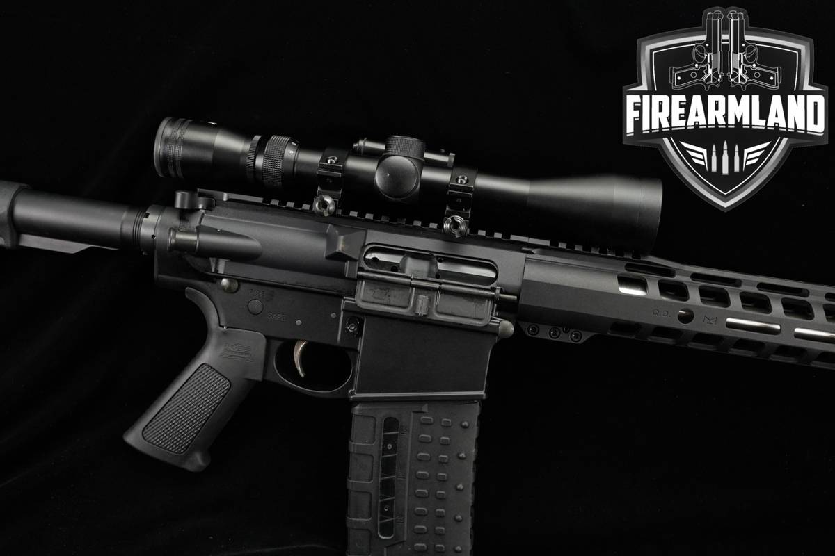 Palmetto State Armory PSA G3-10 308 Win AR10 AR G310 +2 MAGS, PINTY SCOPE