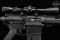 Palmetto State Armory (PSA) G3-10 .308 Win. Black in Very Good Condition Image 4