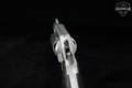 Smith & Wesson (S&W) Model 637-2 Airweight .38 Spl. Matte Silver in Very Good Condition Image 5