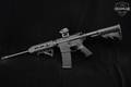 Del-Ton Echo 316L 5.56mm NATO Black in Very Good Condition Image 2