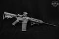 Del-Ton Echo 316L 5.56mm NATO Black in Very Good Condition Image 3