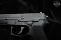 Sig Sauer SP2022 9mm Luger Nitron in Very Good Condition Image 4