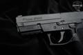 Sig Sauer SP2022 9mm Luger Nitron in Very Good Condition Image 5