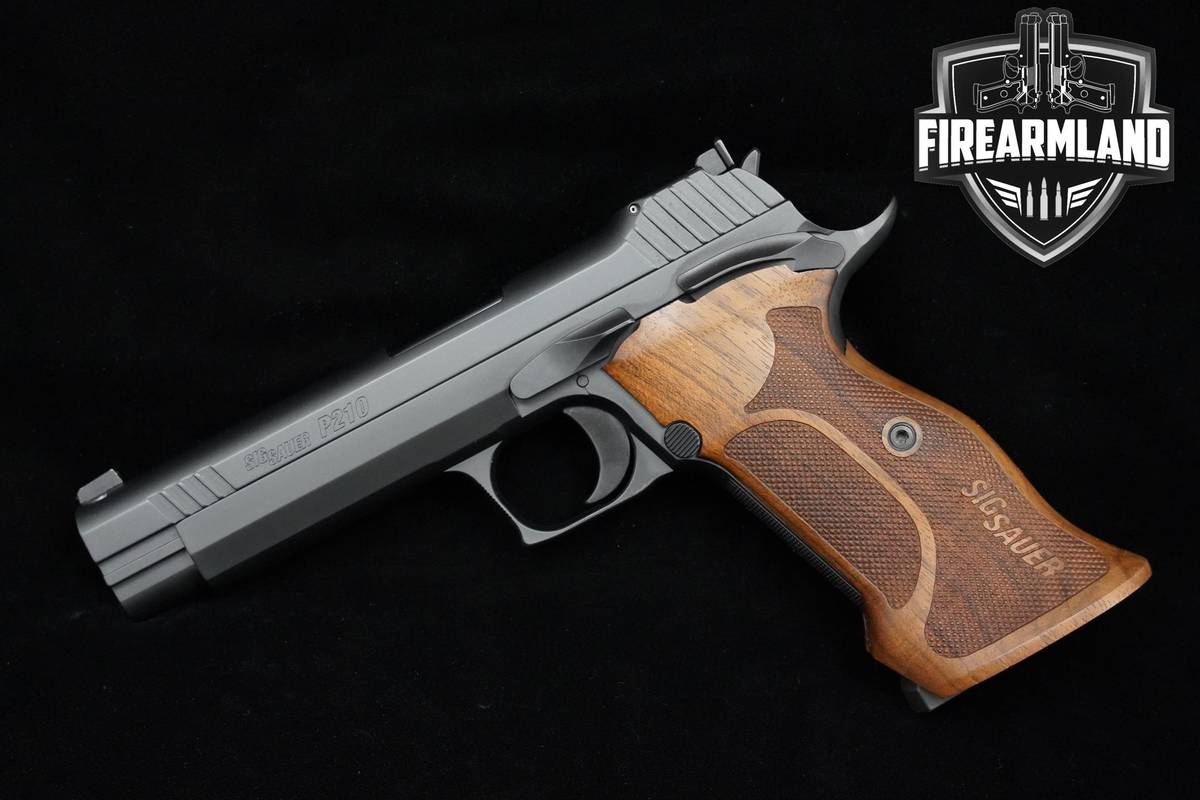 Sig Sauer P210 Target 9mm Nitron P210 P-210 +2 MAGS