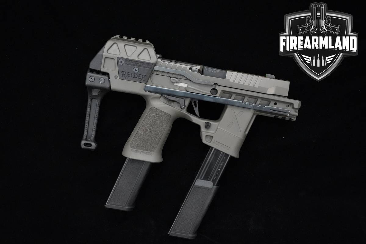 Sig Sauer P320-Flux Legion 9mm 3.9" Legion Gray Sig-Sauer P320-Flux +2 MAGS