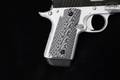 Kimber Micro .380 ACP Two-Tone in Excellent Condition Image 4