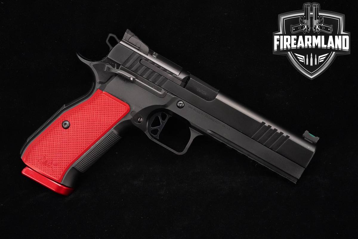 Dan Wesson DWX Full-Size 9mm 4.95" +2 MAGS