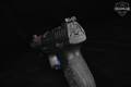 Walther PPQ Q5 Match M2 9mm Luger Black in Excellent Condition Image 5