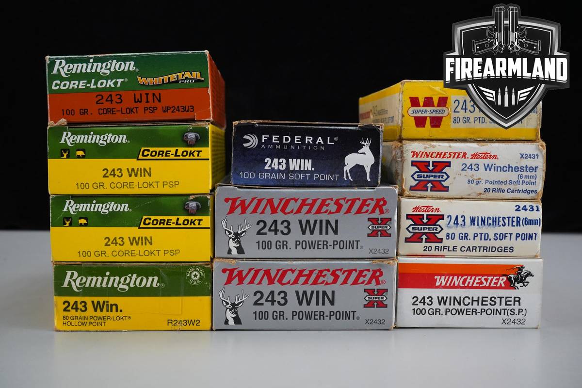 220 RDS! 243 Winchester Win Ammo