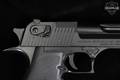 Magnum Research Desert Eagle Mark XIX .44 Mag. Black Oxide in Good Condition Image 4