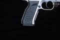 2018 EAA Corp Tanfoglio Witness 9mm Luger Nickel Finish in Excellent Condition Image 3