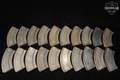 Royal Small Arms Factory (RSAF) TWENTY (20) Bren 30 Round Magazines .303 British in Good Condition Image 3