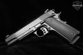 Tisas USA 1911 Duty B45R .45 ACP Blued in Very Good Condition Image 2