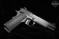 Tisas USA 1911 Duty B45R .45 ACP Blued in Very Good Condition Image 4