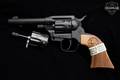 Diamondback (DB) Sidekick .22 LR Matte Black in Excellent Condition Image 2