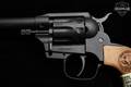Diamondback (DB) Sidekick .22 LR Matte Black in Excellent Condition Image 4