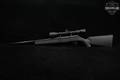 Savage Arms A17 .17 HMR Blued & Synthetic in Very Good Condition Image 2