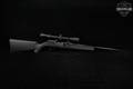 Savage Arms A17 .17 HMR Blued & Synthetic in Very Good Condition Image 3