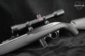 Mossberg Model 702 Plinkster .22 LR in Excellent Condition Image 2